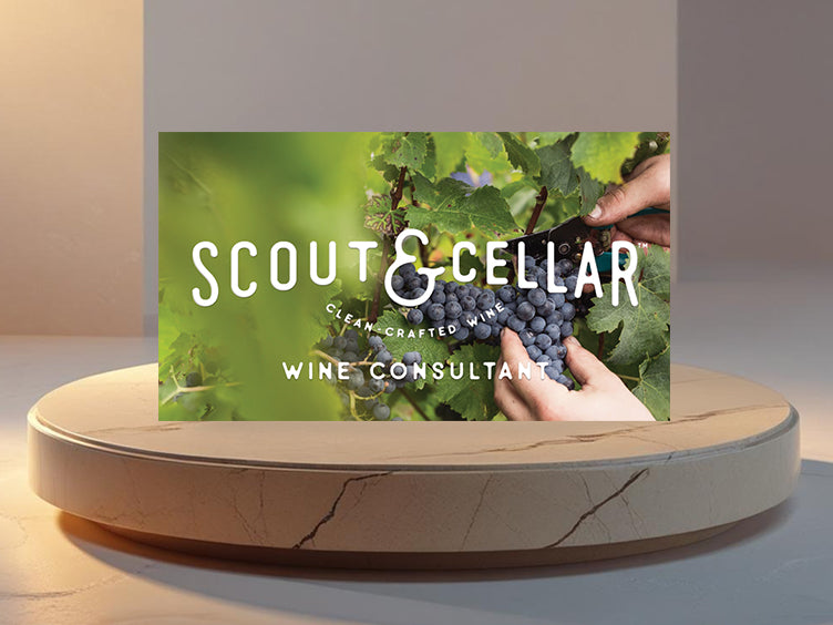 Scout & Cellar Design 4