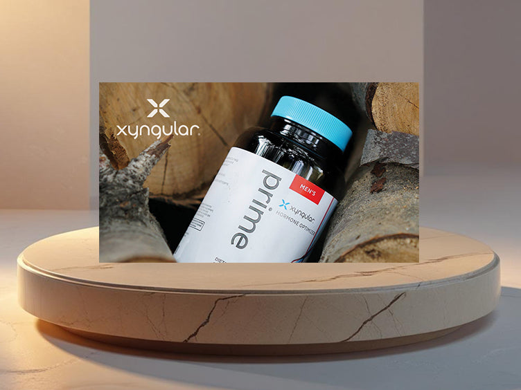 Xyngular Design 4